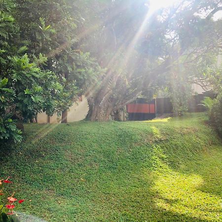 47 Alfred House - Free Pickup From Kandy City Extérieur photo