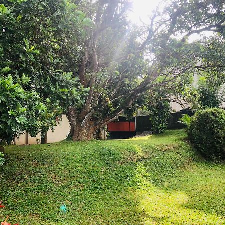 47 Alfred House - Free Pickup From Kandy City Extérieur photo