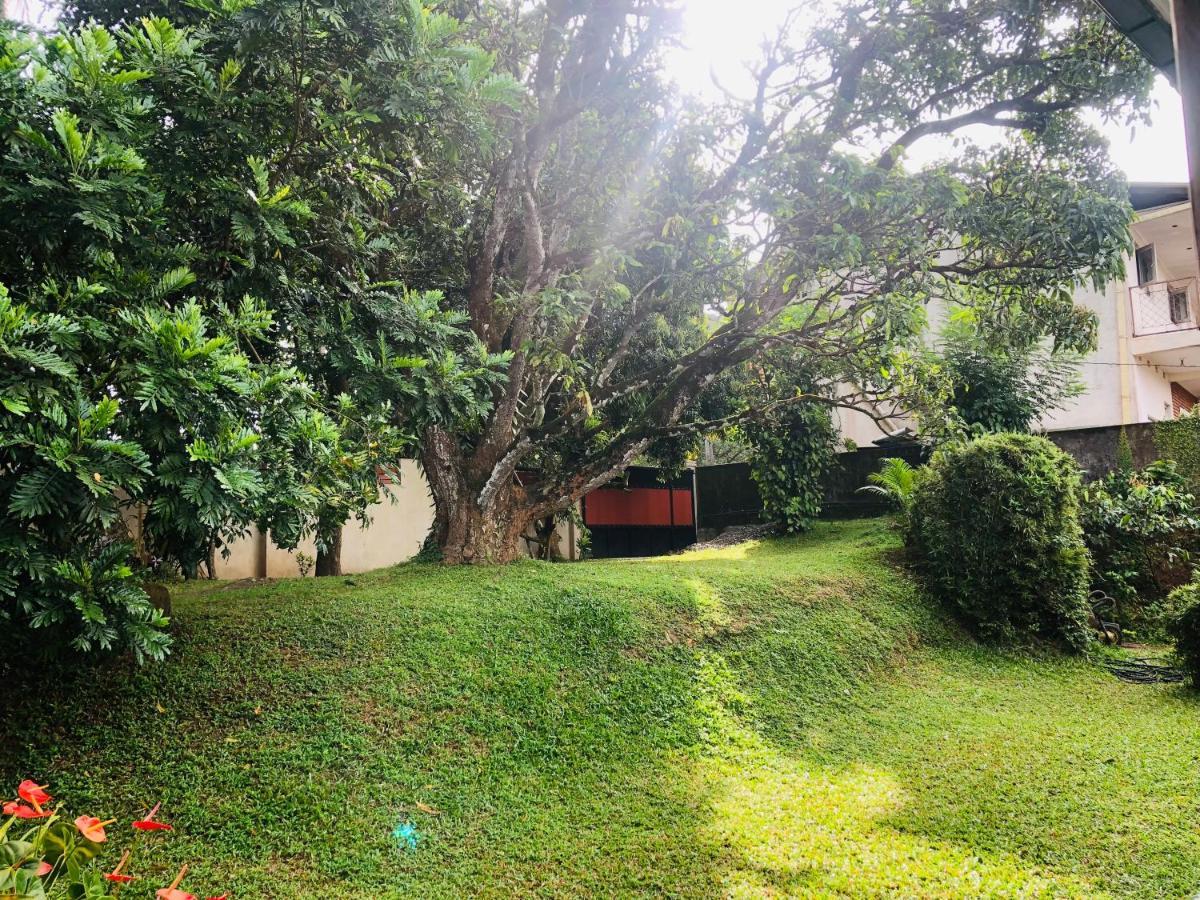 47 Alfred House - Free Pickup From Kandy City Extérieur photo